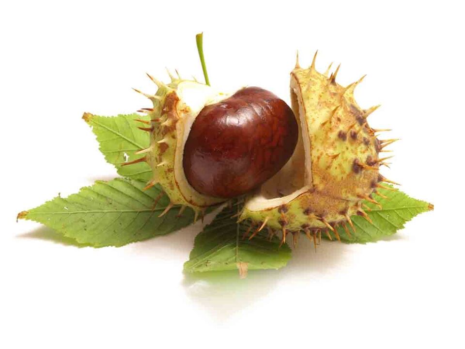 Zxcvbnmqwert cream contains horse chestnut extract